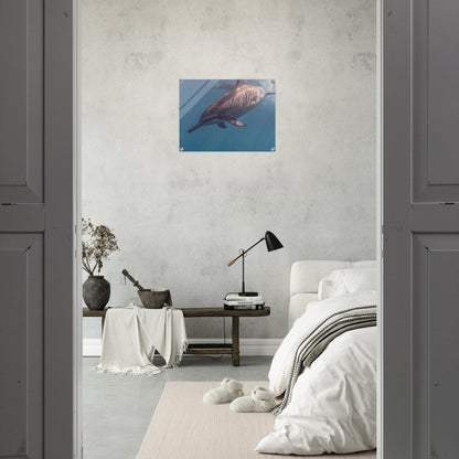 c33112e2-a7e8-48b5-8828-b11d74244be3