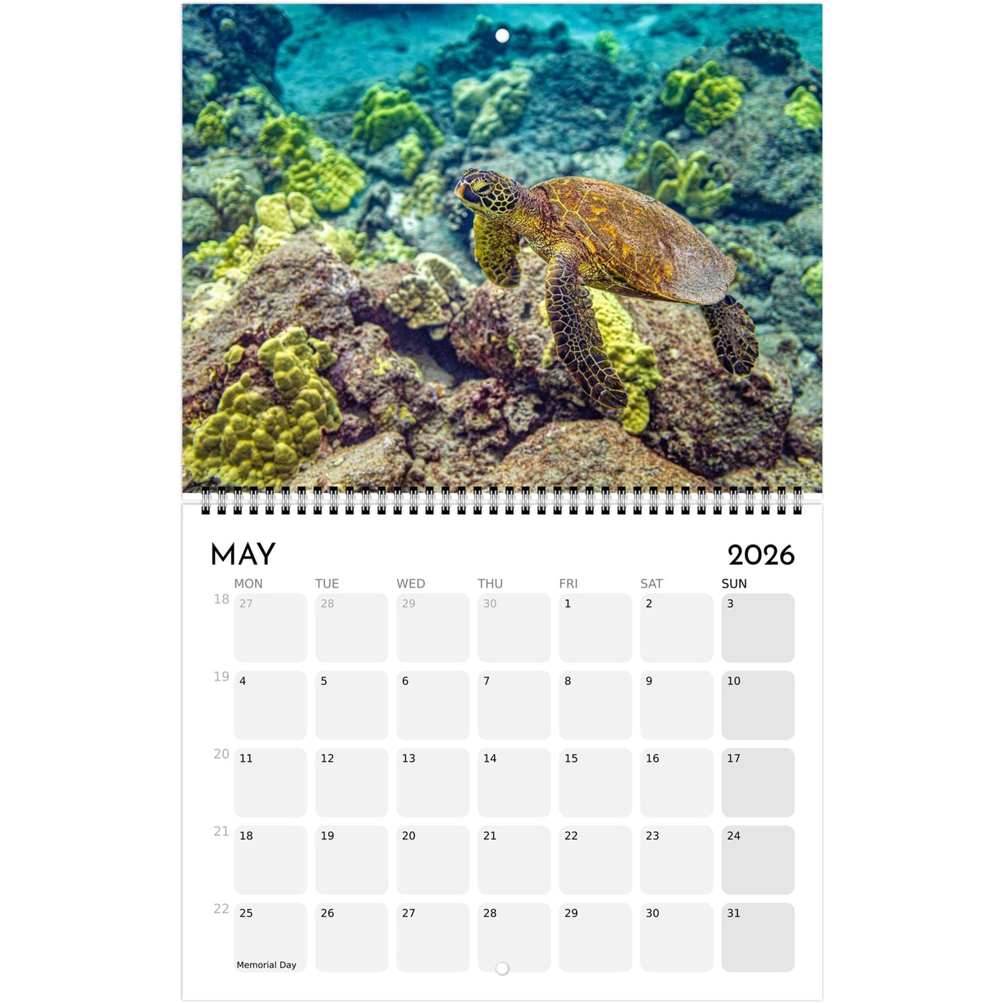 c5cfd41e-6760-4176-a9bd-ef76fb8c56e8