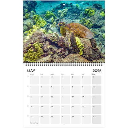 c5cfd41e-6760-4176-a9bd-ef76fb8c56e8