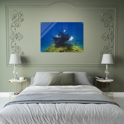 c6529a42-b9d5-4834-b3cd-98279f38ede4