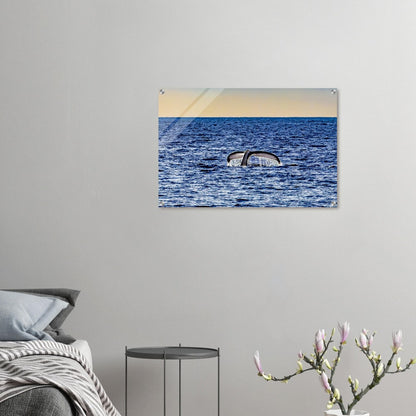 c656ee81-6c3d-4058-a68a-0bdbc508bd86