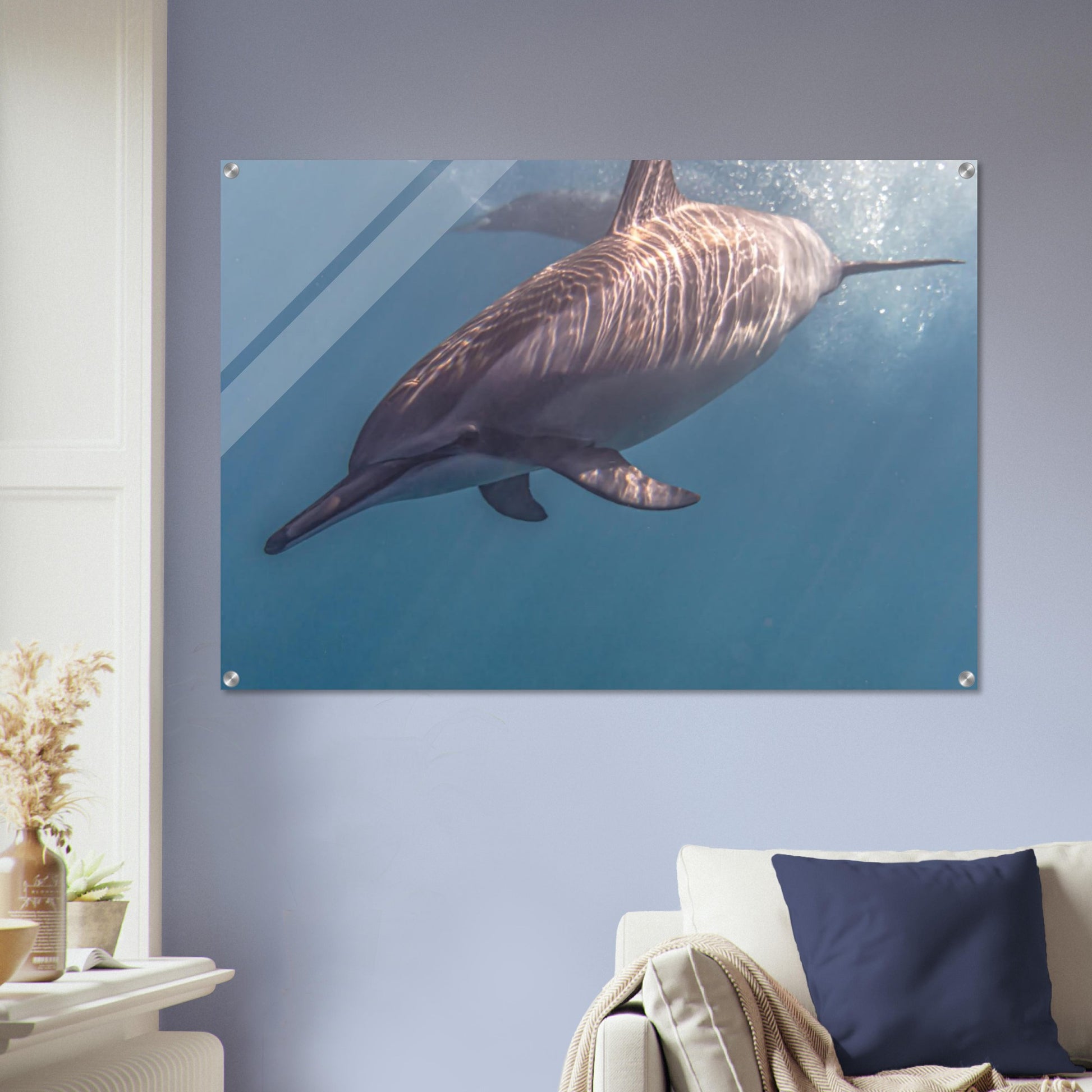 c805594f-9ab7-4dff-9cfa-311f3bb9fef0