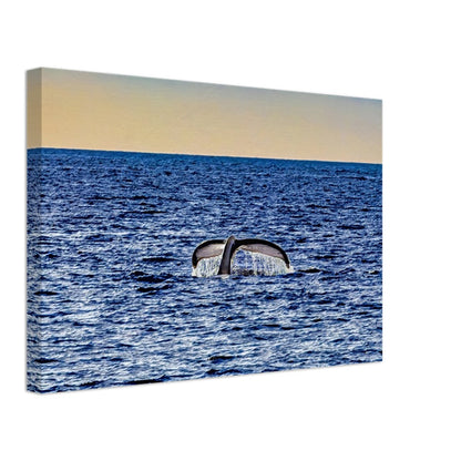 ca1360de-4351-4d24-be87-47fff3862aa5