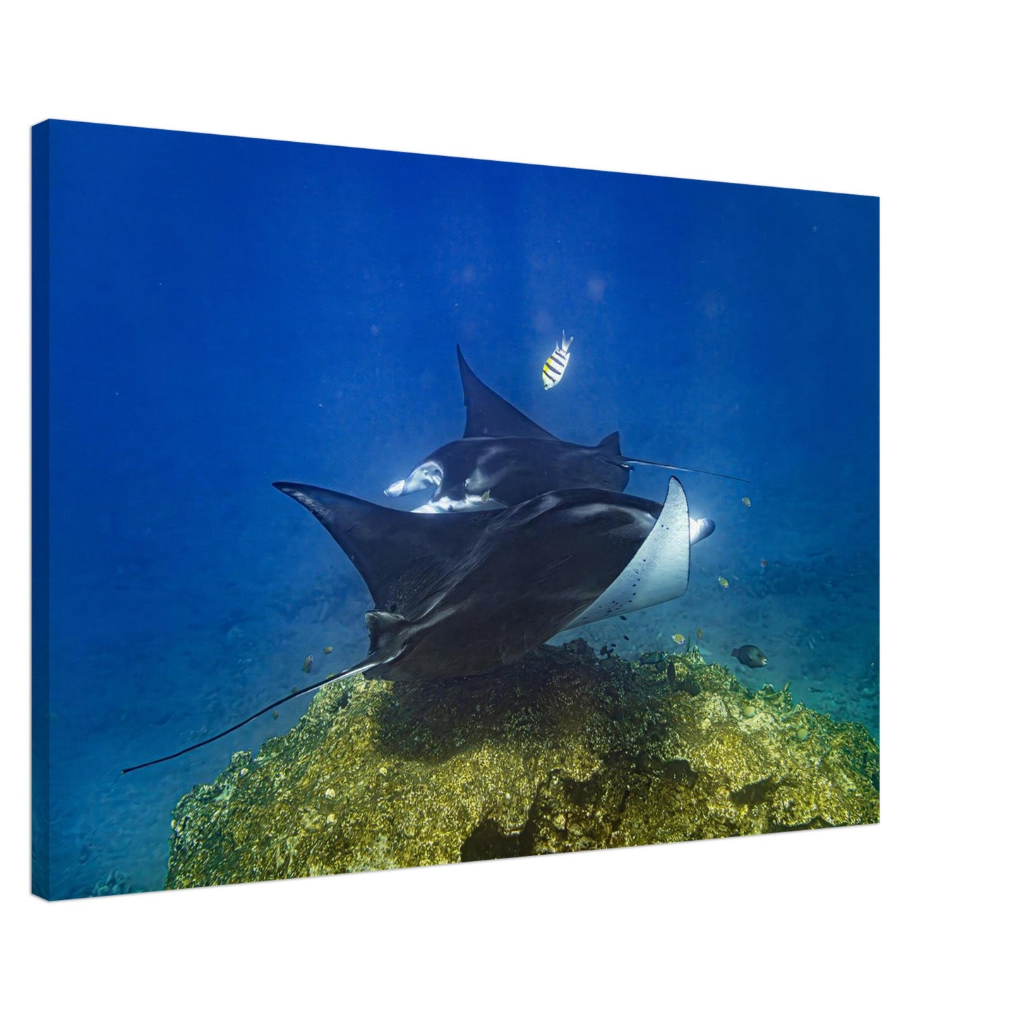 ca3c4654-2a15-4389-9554-fb1367cd03a0