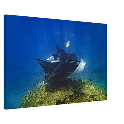 ca3c4654-2a15-4389-9554-fb1367cd03a0