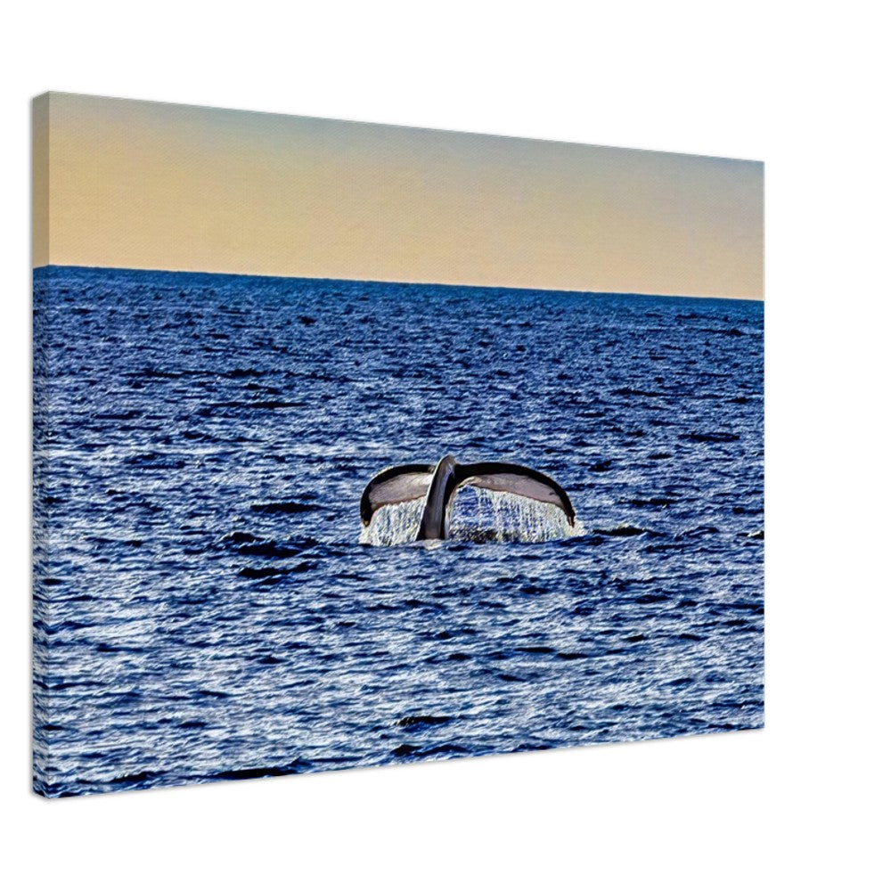 cacd5d84-462a-47ef-8262-dcc7a9d35a6e