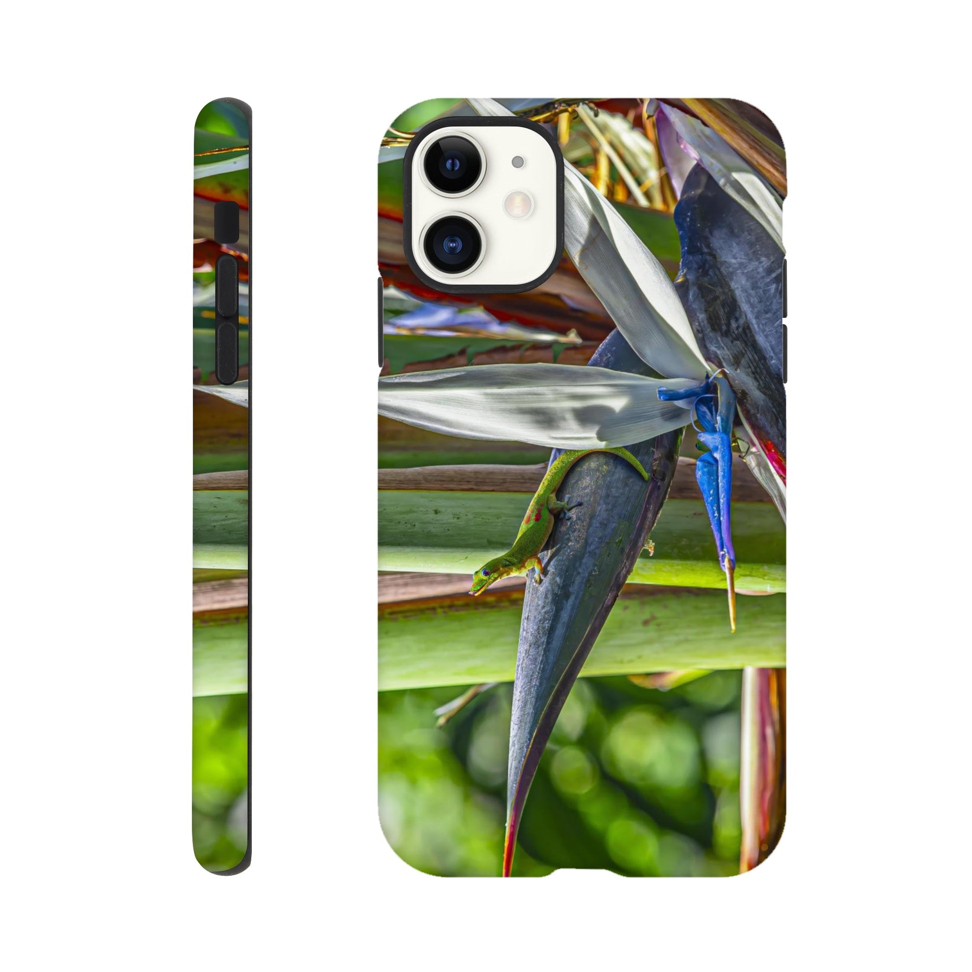 cb04c15c-8e9e-4ddc-aa0e-e88798ca3fd1