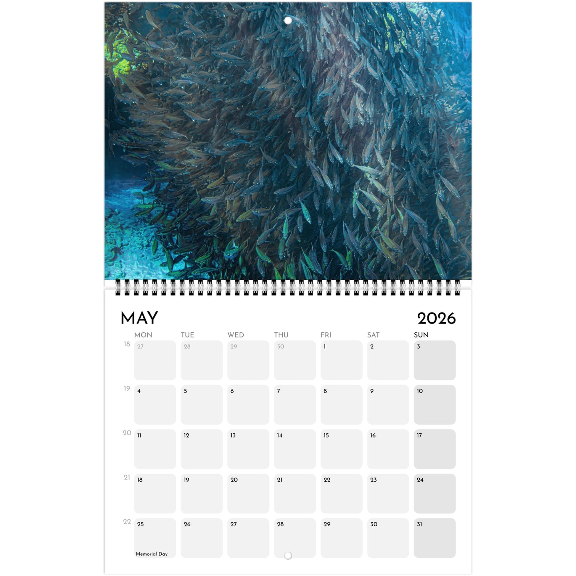 cc89099d-1405-46c7-849e-8a84e9783678