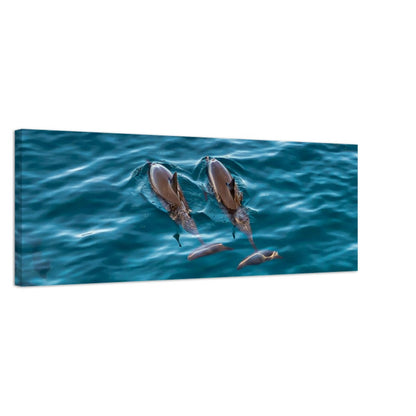 cc8d26e7-2659-4abb-9f1e-b3d220454ee9