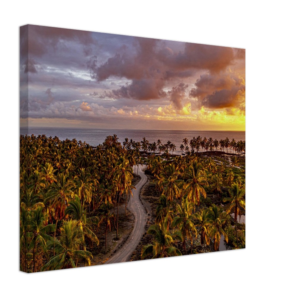 cf3602ed-7ea4-4e48-a8c9-8b36e5d4787f