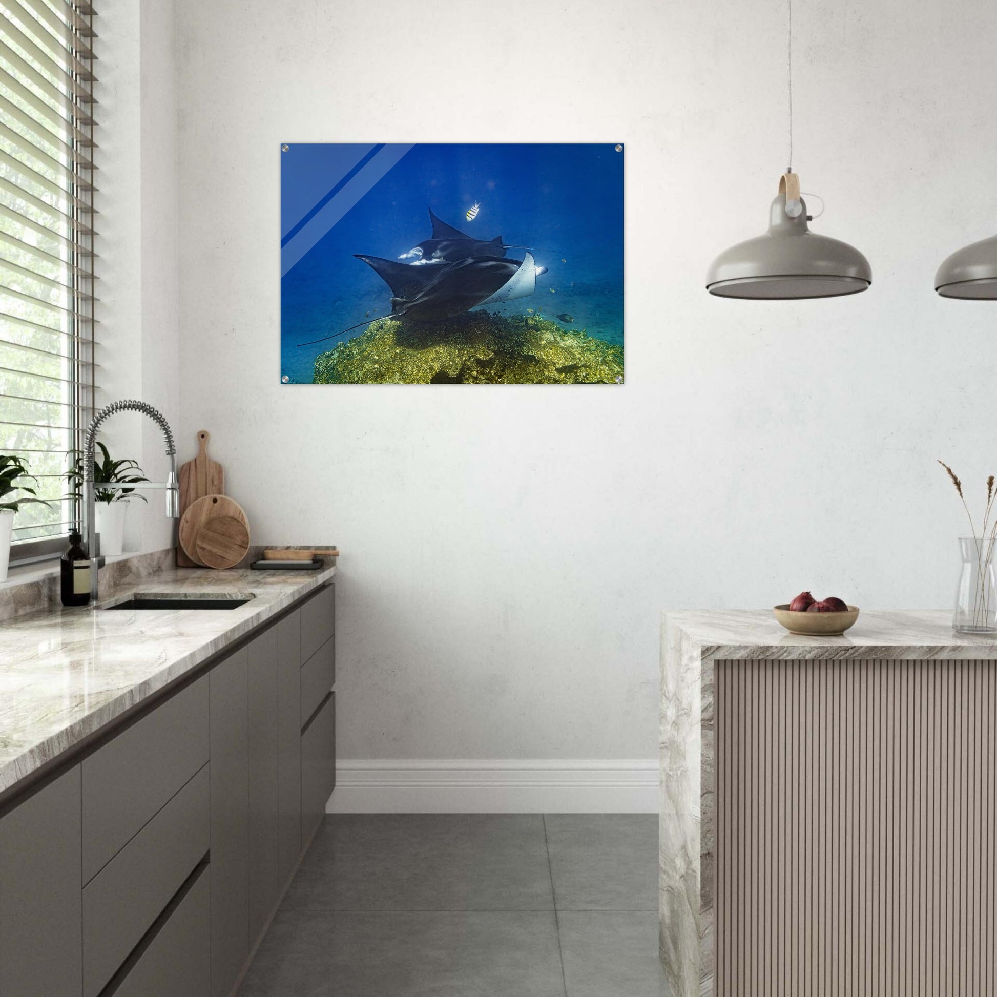 d51669e1-a08a-403a-87c6-fbc96b4a5626