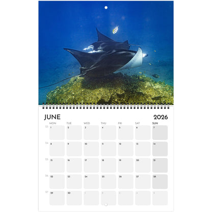 d737ef0a-6697-40b0-bb76-36cf7e3d7aff