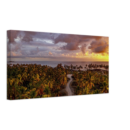 d9281c32-d91a-4644-ab78-b96f8428fa4d