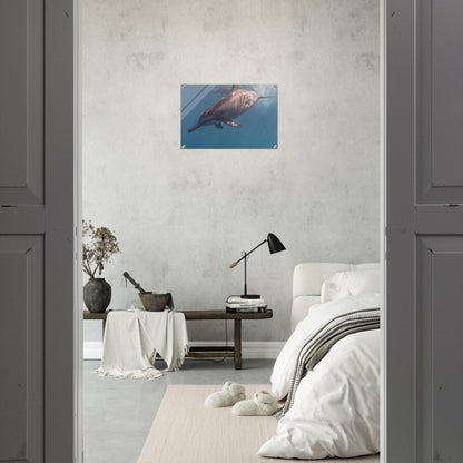 d93d6199-e730-43c1-836b-8b4da88067ec