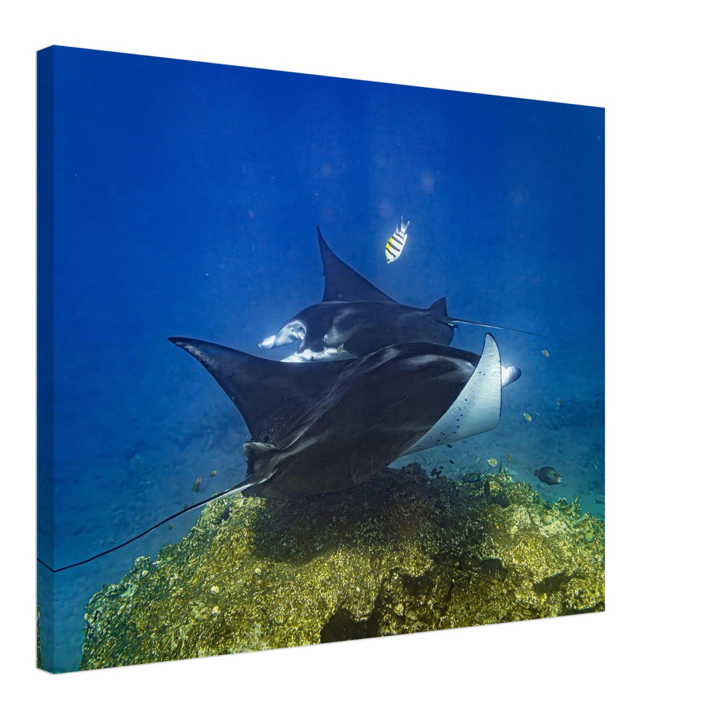 dc22635e-f2ec-4377-a01b-5a285c2d99ec