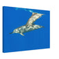 dc683f35-c463-4451-bff6-044feaac73a1
