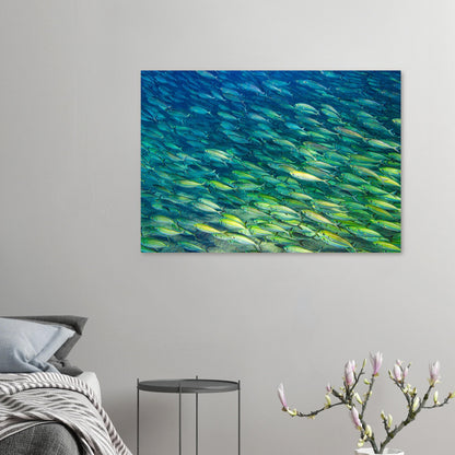 deb6a7e0-e5de-4ece-95f3-38bfa7af5ff7