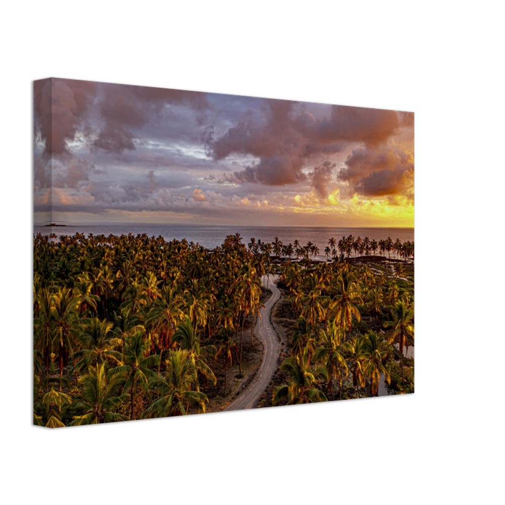 decca727-2f4b-415c-9e40-f5d1eeb474a9