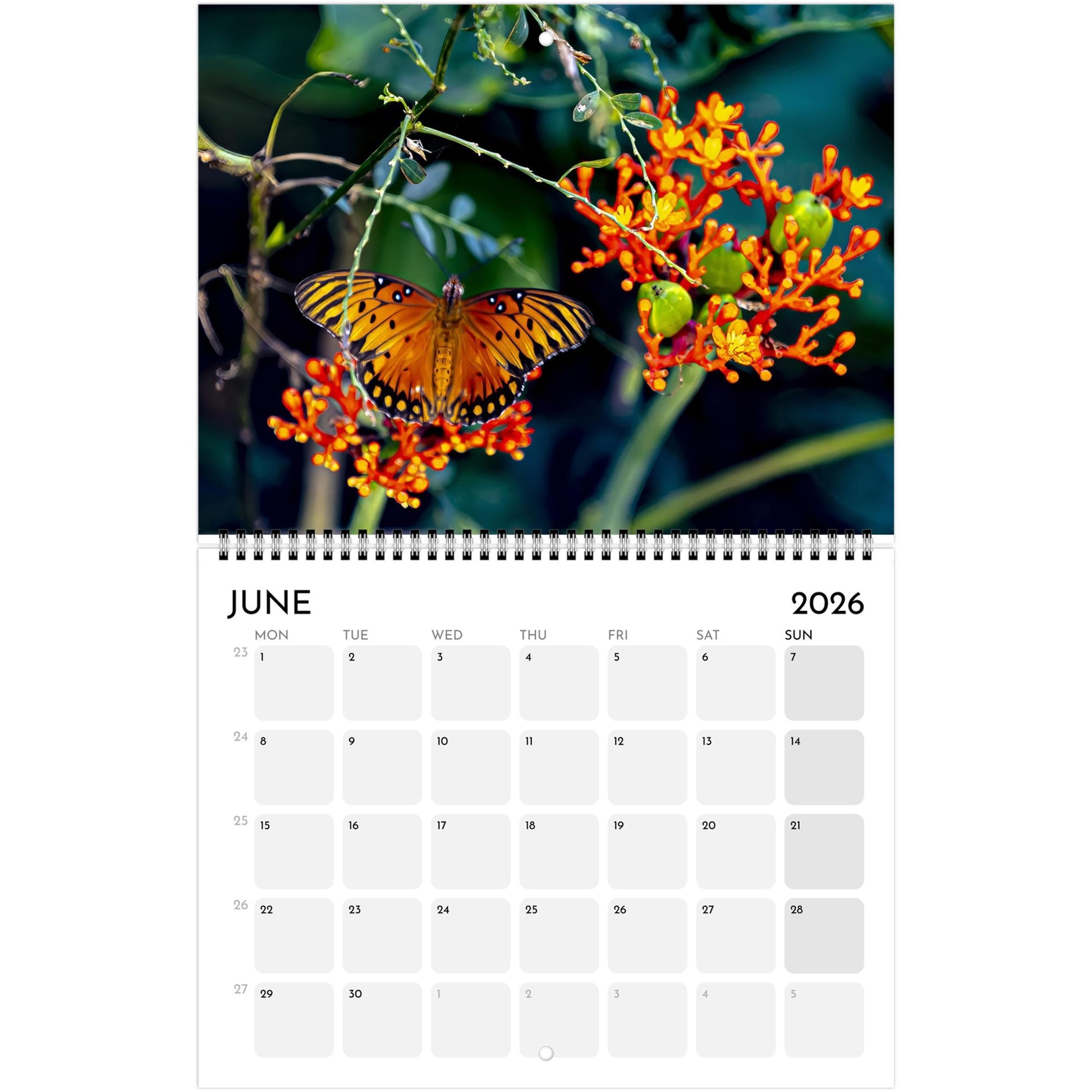 dee04d98-7dab-498d-b97e-4c29620c44f9