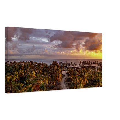 e0d05654-588e-4c91-93a0-f838e62378f3