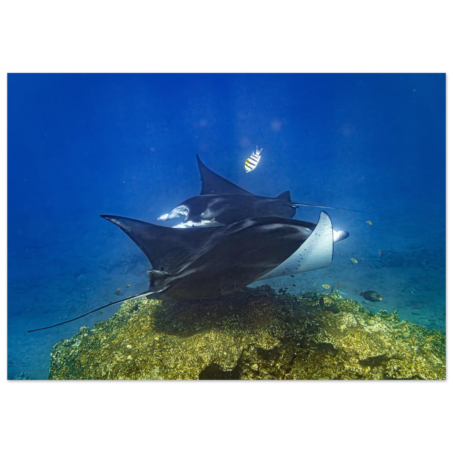 e2b5eb72-d002-4cee-9cbc-eea55e9c4923