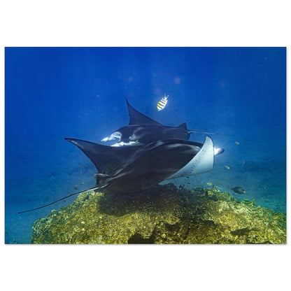 e2b5eb72-d002-4cee-9cbc-eea55e9c4923