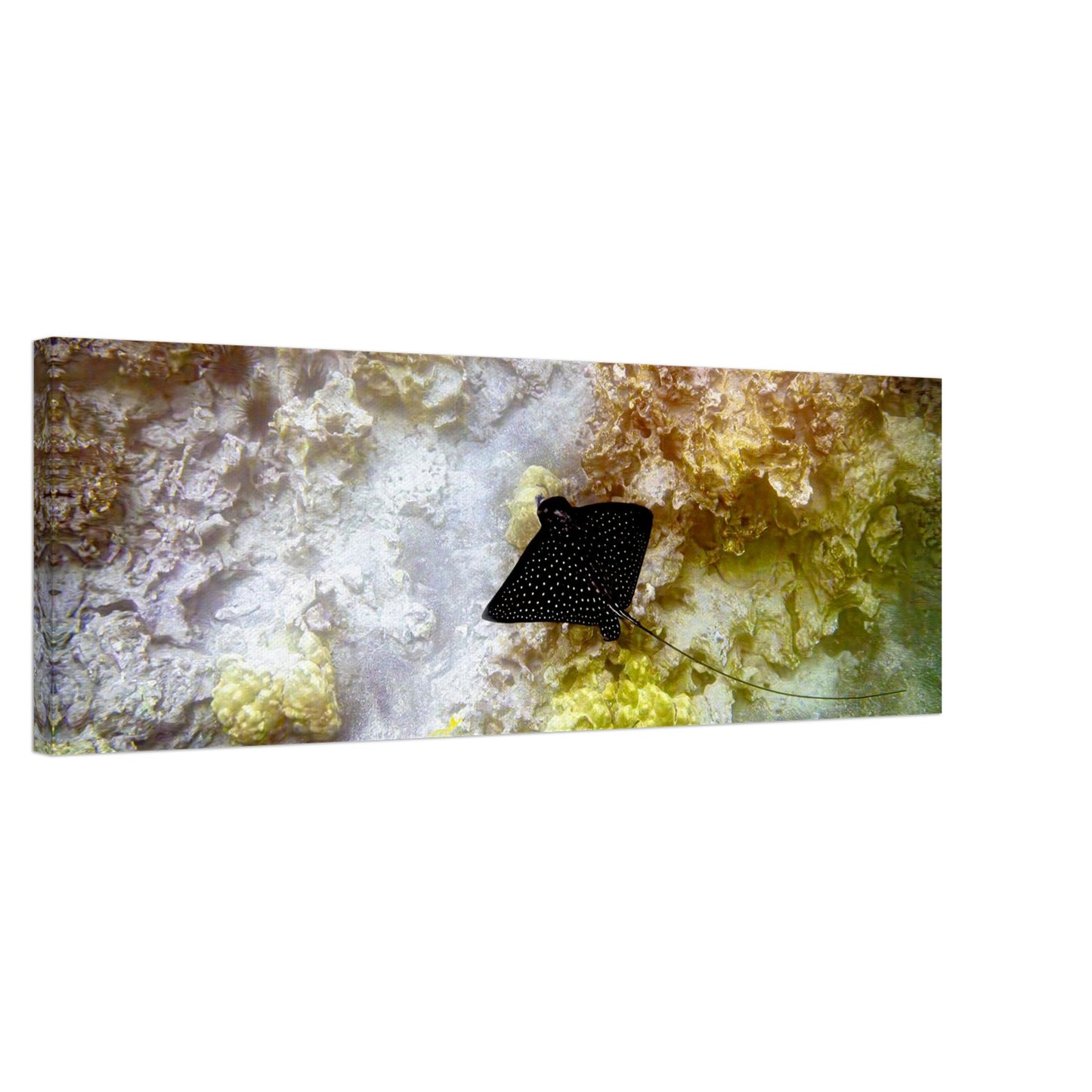 e4676ac2-90a6-40c6-8881-78626dfa3f8c