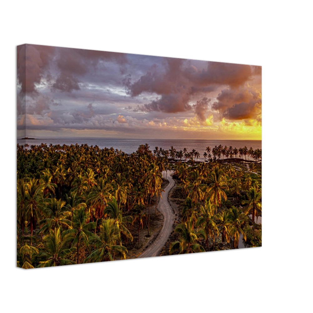 e4d84c74-a16e-4320-86af-0bae6ab0053e