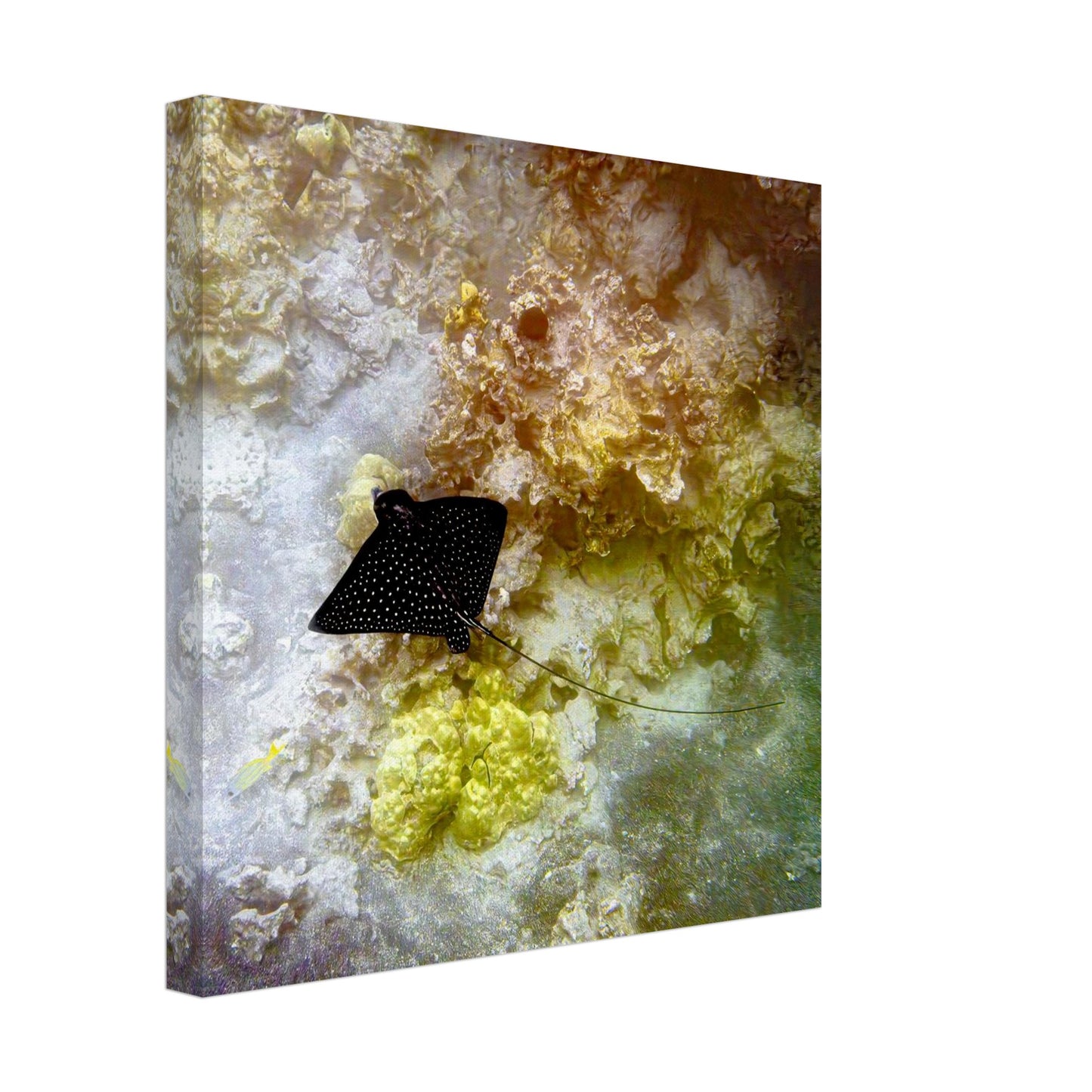 e4dff7cd-cac8-4a42-9497-6c52bd41d8ad