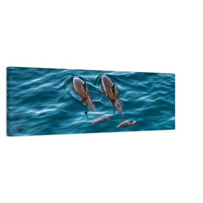 e595c2c4-c58b-45e1-9339-74dcfb81a86d