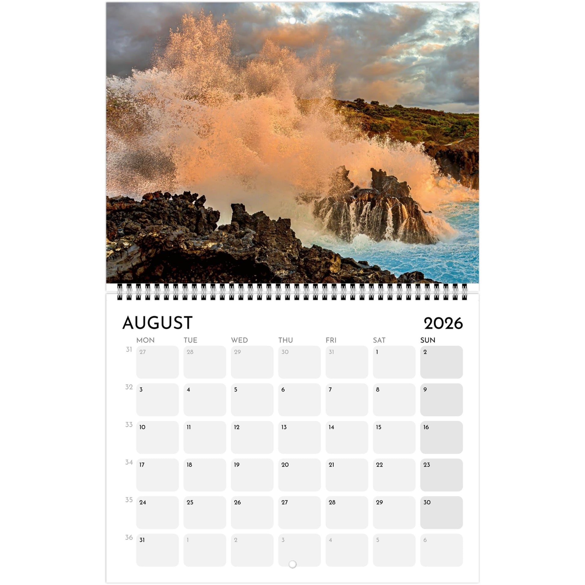 e6063c6a-324a-4d9e-8894-8147bb261e73