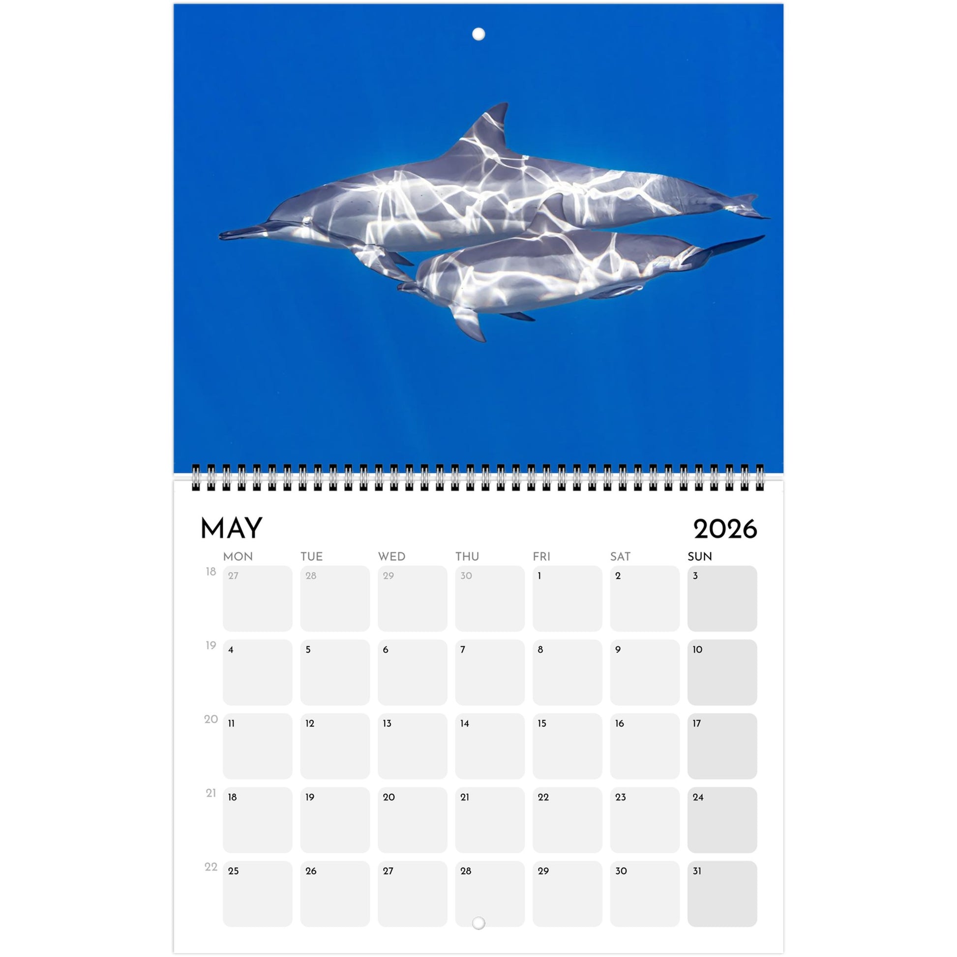 e7674bf5-77f4-4e12-b3c1-817d419a7e21