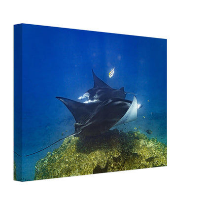 e880eefc-a04a-4dde-a914-5a9a3698b048