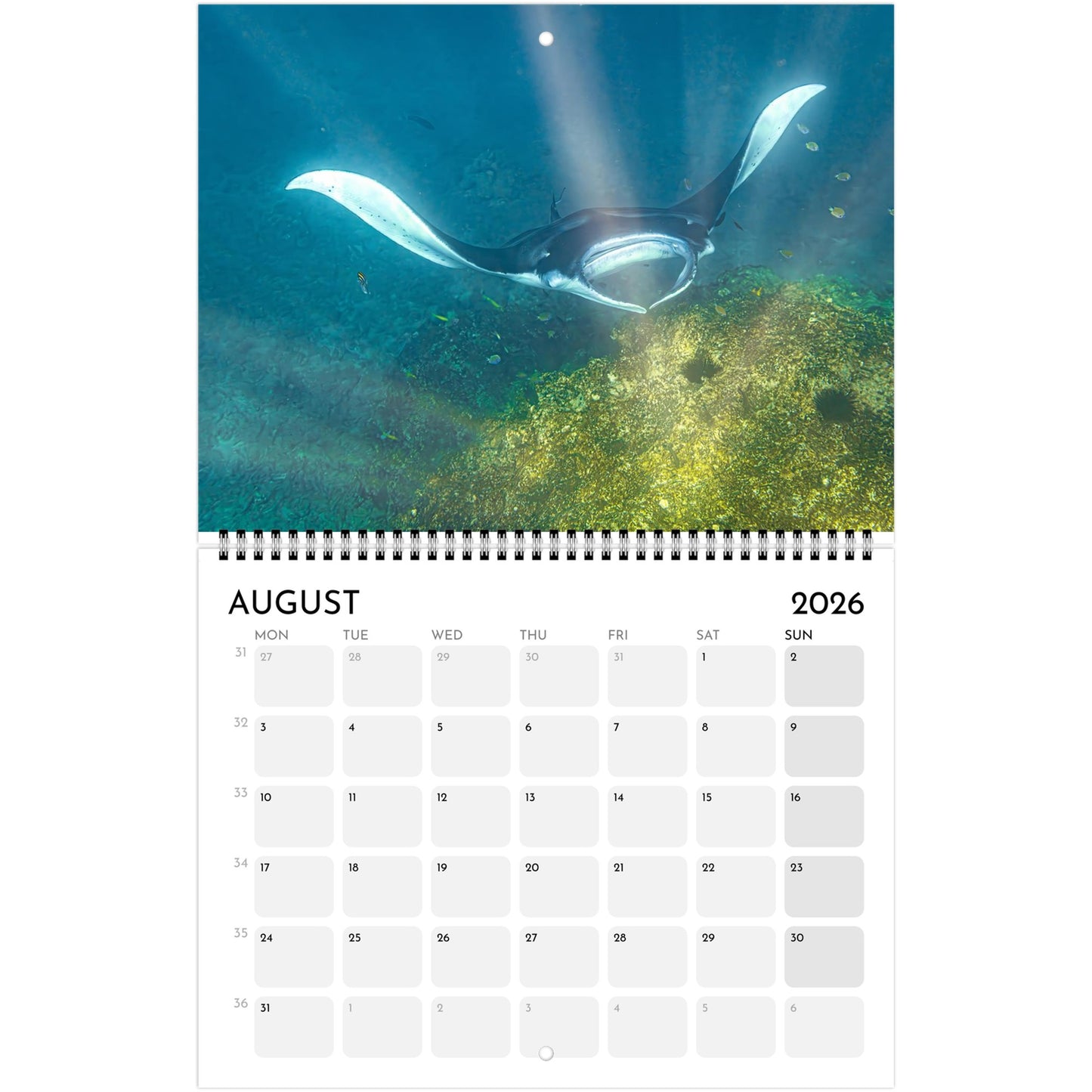 e8a3dc71-bebd-4ee2-a798-f7d3774753cd