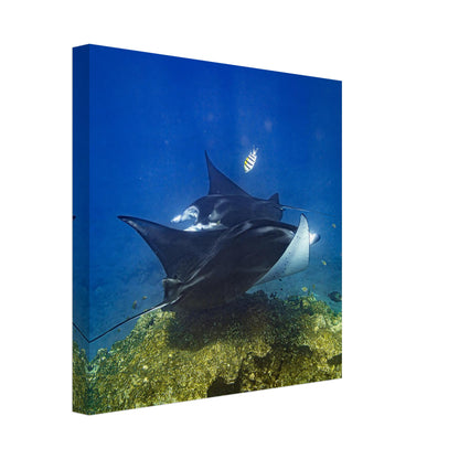 eaaa5ce2-0254-4c4d-b835-9ea337e7afaf