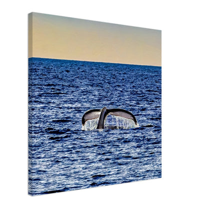 eb4a08a7-d169-447b-9f48-1a5563c4d5c9