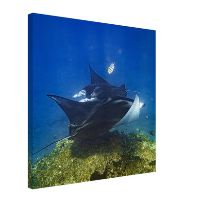 ec3e2b42-c2e3-4892-9121-42e254f1096b