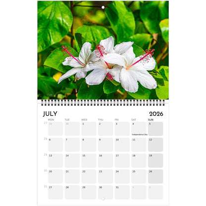 ecabd85f-89e5-4e80-8322-96bc16e763df