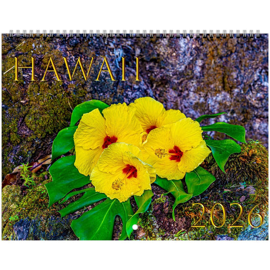 ece809a7-6036-4e21-a9b3-123d44ce2691