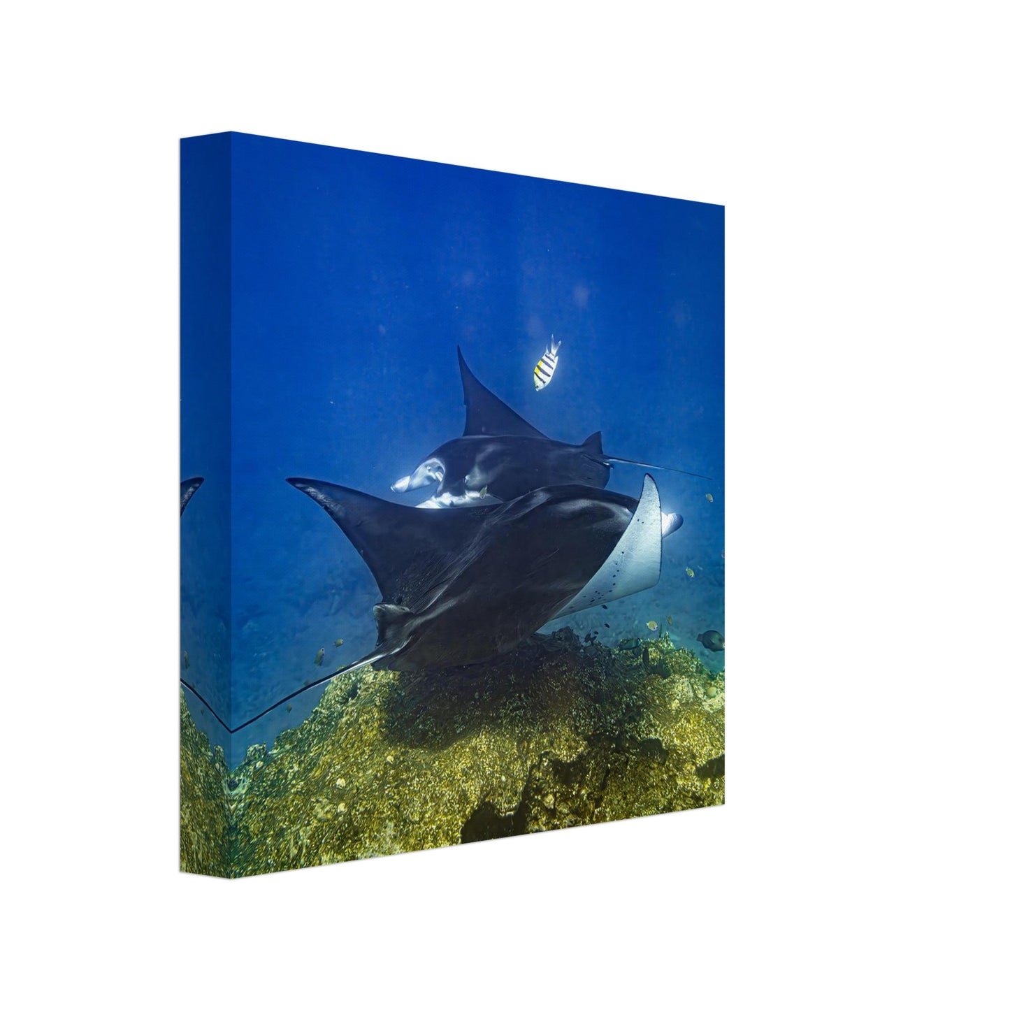 f34cbafd-d5e6-4541-a154-be241a01bfb9