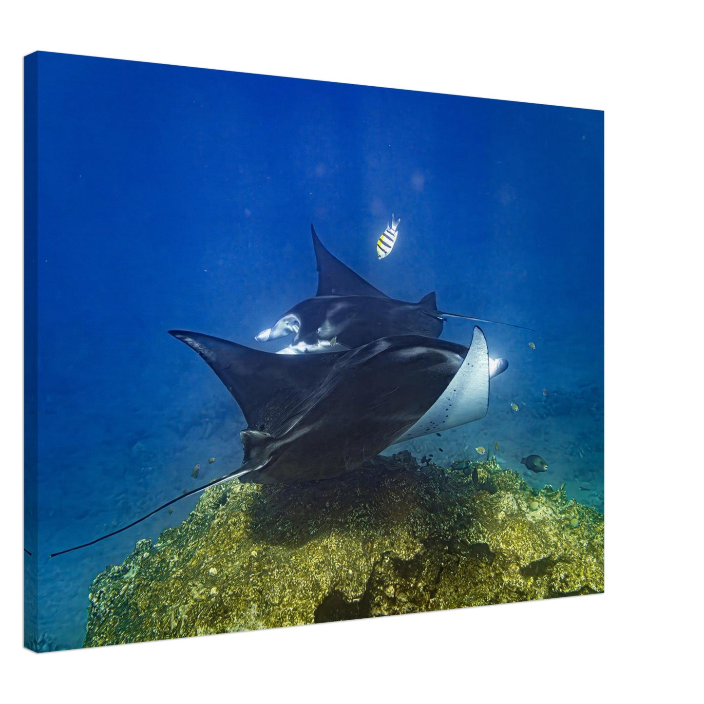 f468da2a-efbb-4ff0-840b-737e676a06cd