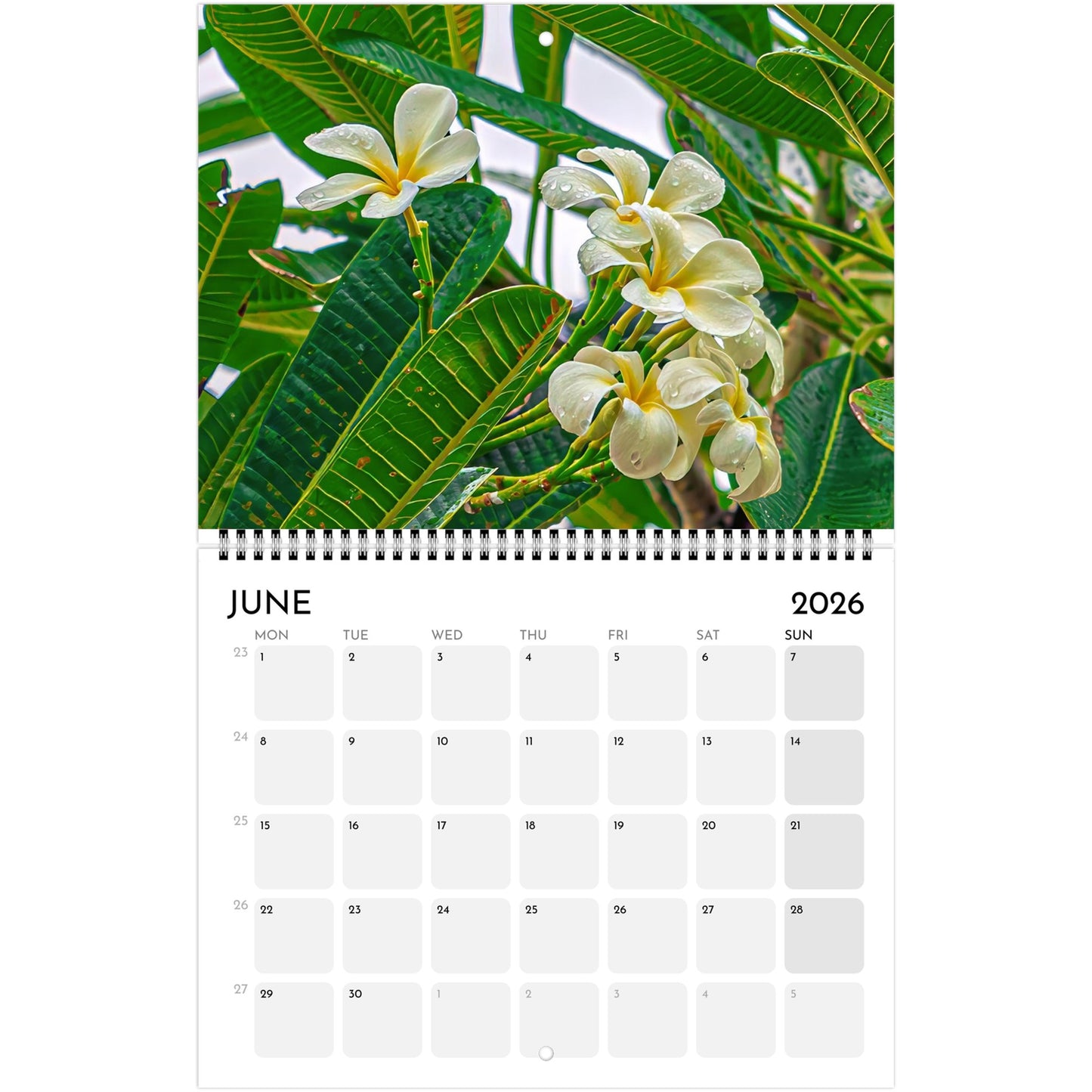 f50ad97a-b7f6-4ada-ab21-4cc09e5894db