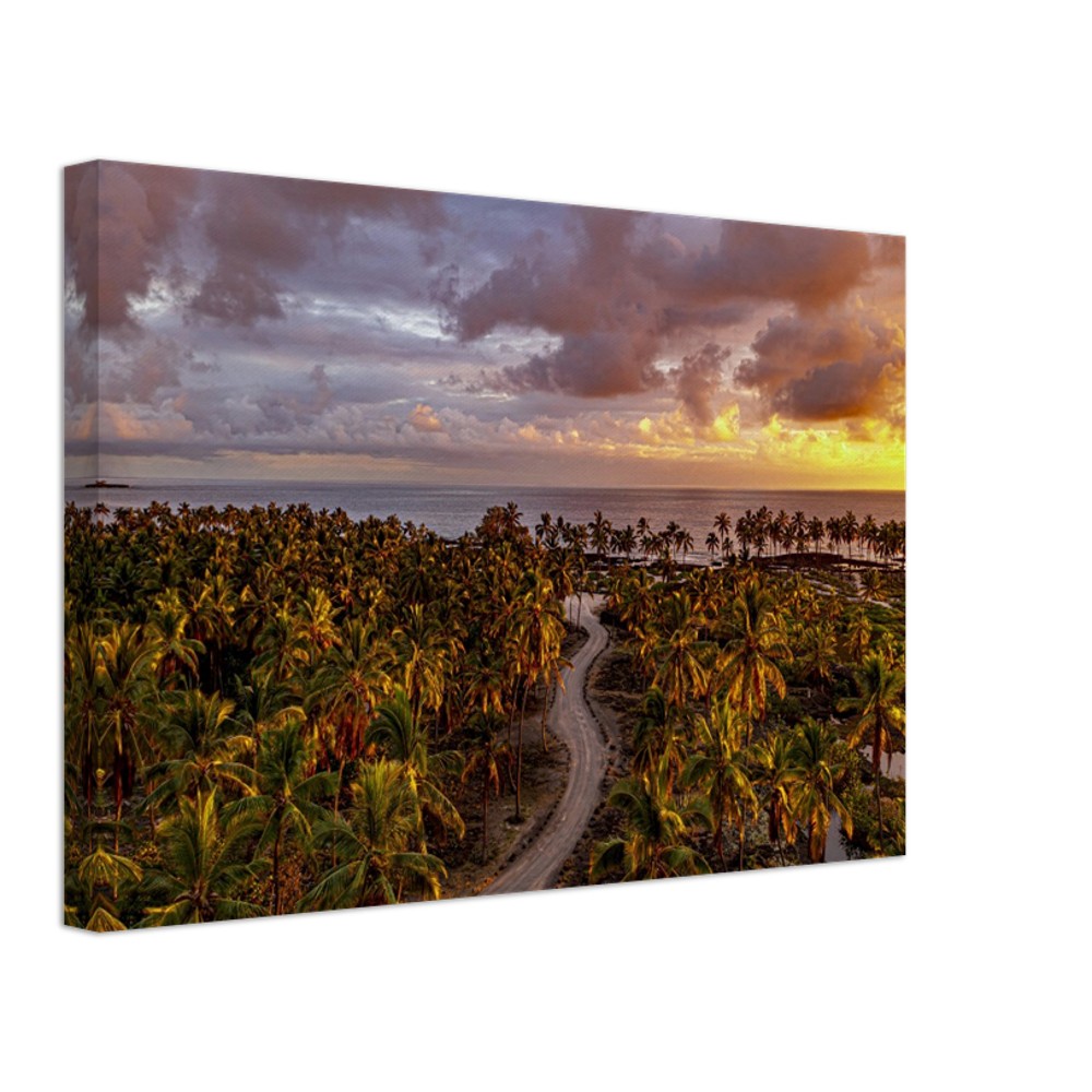 fa300dfa-f889-405d-9e0e-6ca0b3416c56