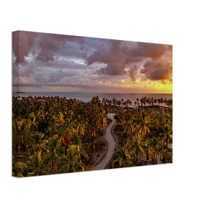 fa300dfa-f889-405d-9e0e-6ca0b3416c56