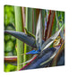 faf5a153-d30b-4d6c-943e-8a2dacd751da