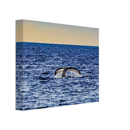 fc0b8901-86e6-45d2-a4b7-581c41bdbcd4