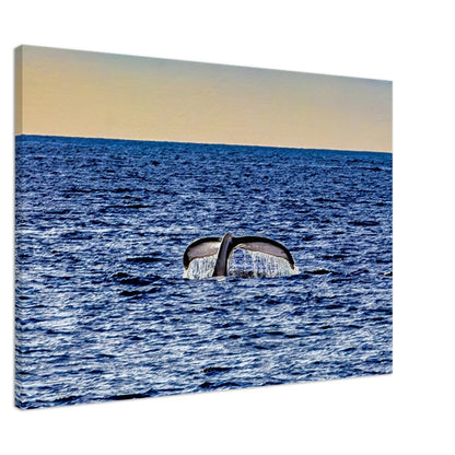 fc992a29-204a-4e33-9fee-3a1593658723