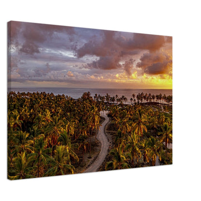 fdd718df-7b52-4ca7-81dd-c60504d1da4f