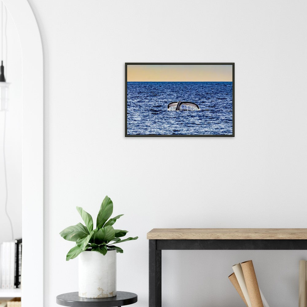 fe1a37cb-bb4a-4d88-ad62-e655fcad0673