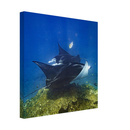 fe1dd865-e5de-419e-9dd4-5cb2374cc888